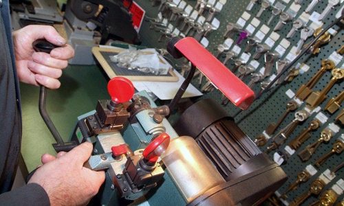 servicio-de-amaestramiento